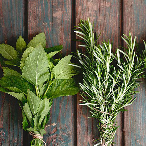 Olive Moisture Rosemary & Mint Style Control Hair Mousse Defines Curls, Boosts Volume & Frizz Control — 207 ml